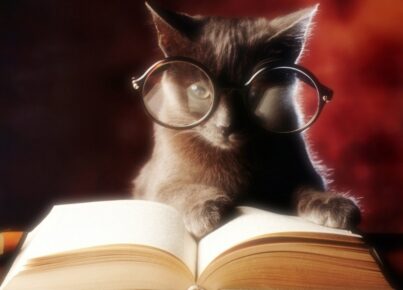 improve-my-writing-skills-cat-reading-book