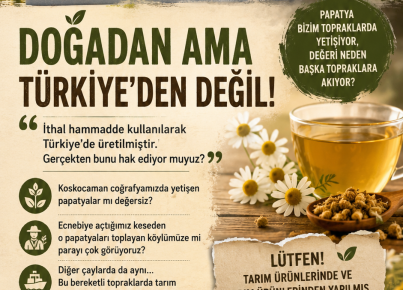 Papatya Bile İthal Olursa! Tarımda Ne Kadar Güçlüyüz
